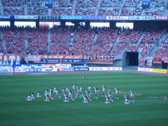 IMG_1887_mini.jpg