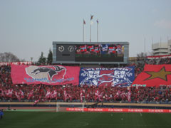 IMG_3867.jpg